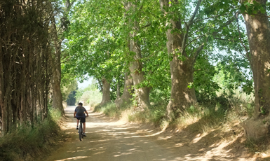 L'Escala - Alt Empordà